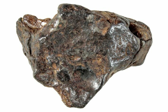 Sericho Pallasite Meteorite ( g) Metal Skeleton #267399